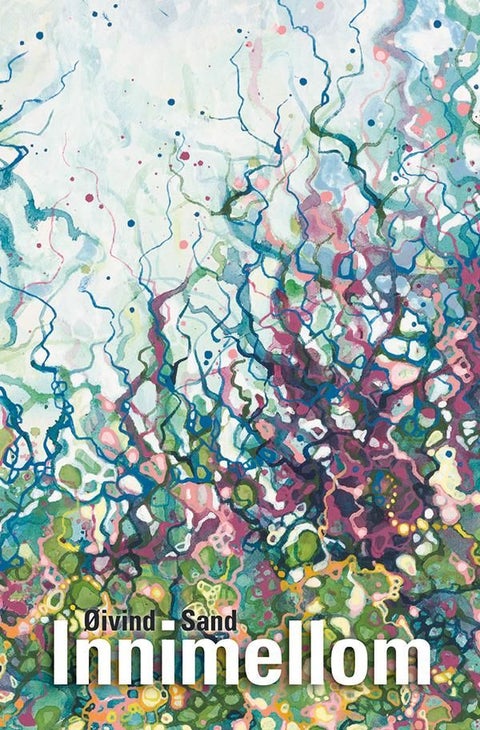 Innimellom - roman