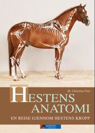 Hestens anatomi - en reise gjennom hestens kropp