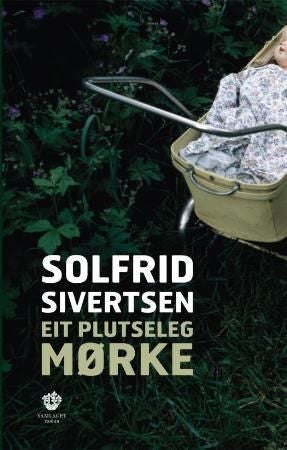 Eit plutseleg mørke - roman