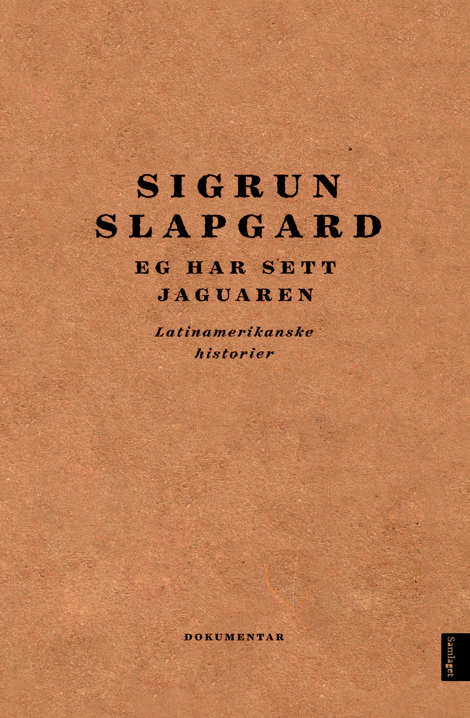 Eg har sett jaguaren - latinamerikanske historier : dokumentar