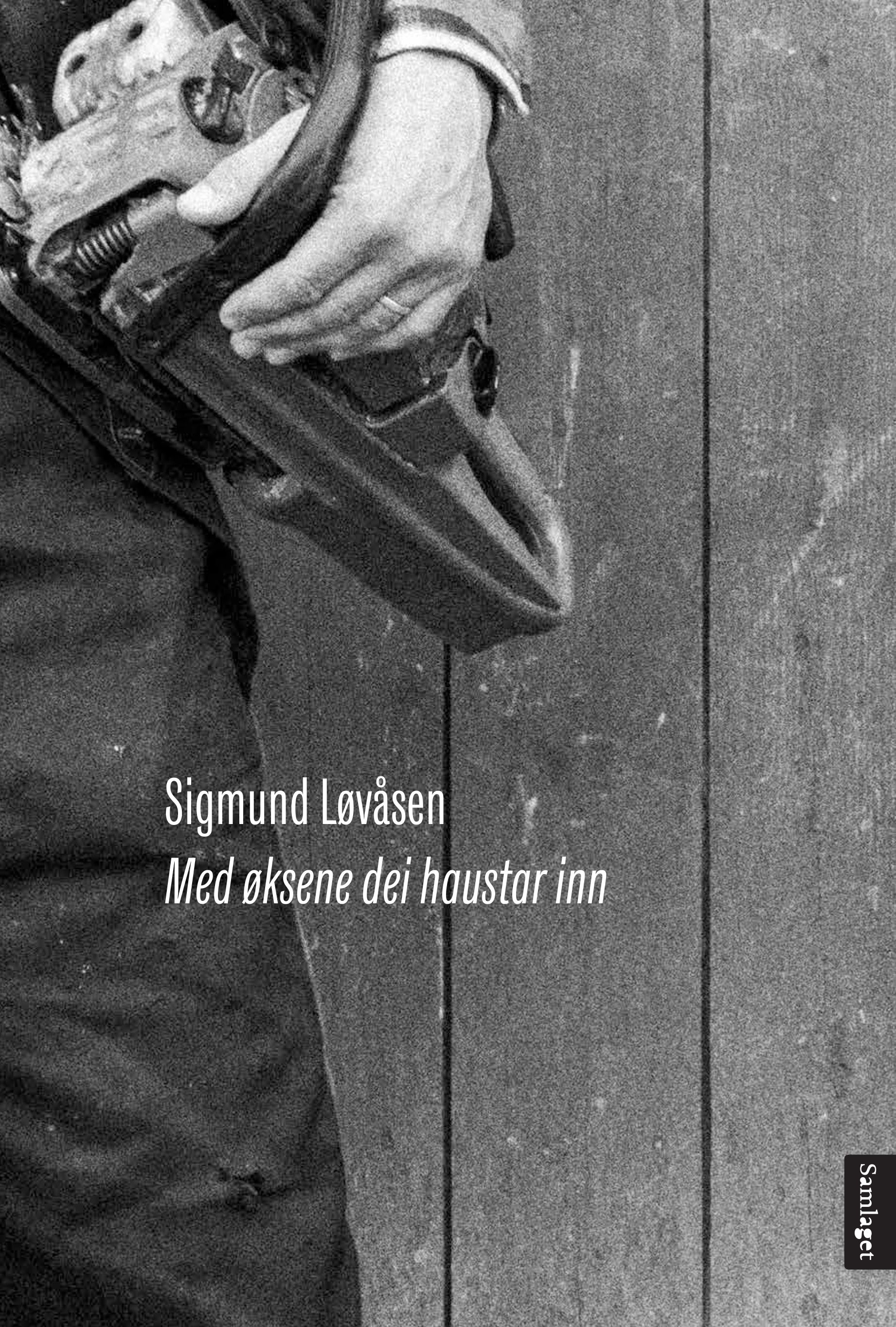 Med øksene dei haustar inn - dikt
