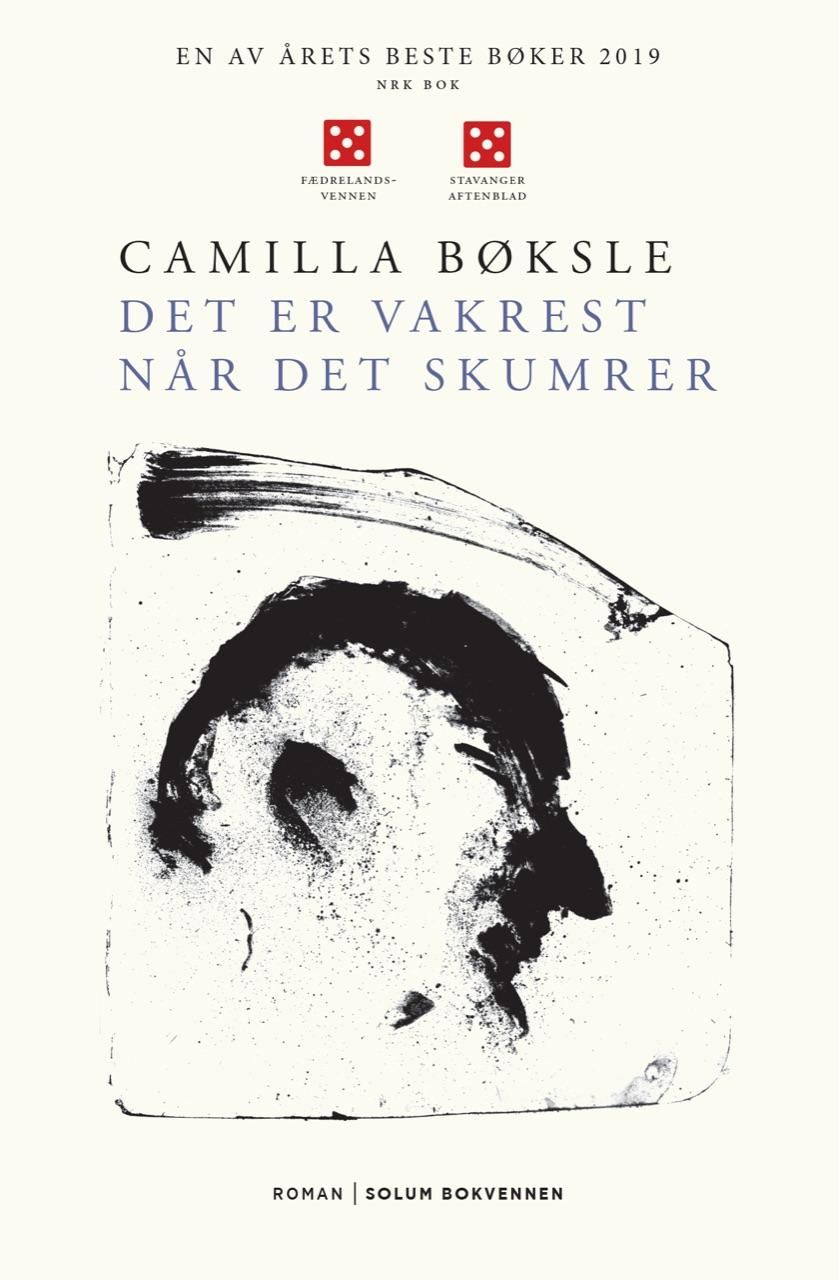 Det er vakrest når det skumrer - roman