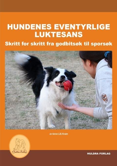 Hundenes eventyrlige luktesans - skritt for skritt fra godbitsøk til sporsøk
