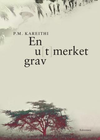 En u(t)merket grav - afrikanere i europeisk skole : roman