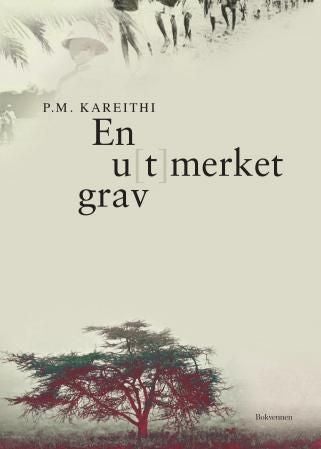 En u(t)merket grav - afrikanere i europeisk skole : roman