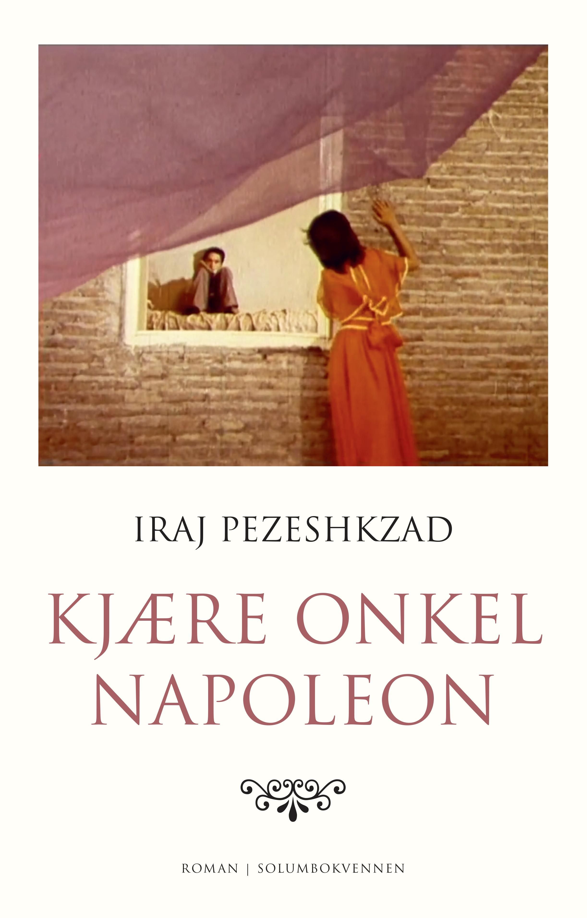 Kjære onkel Napoleon - roman