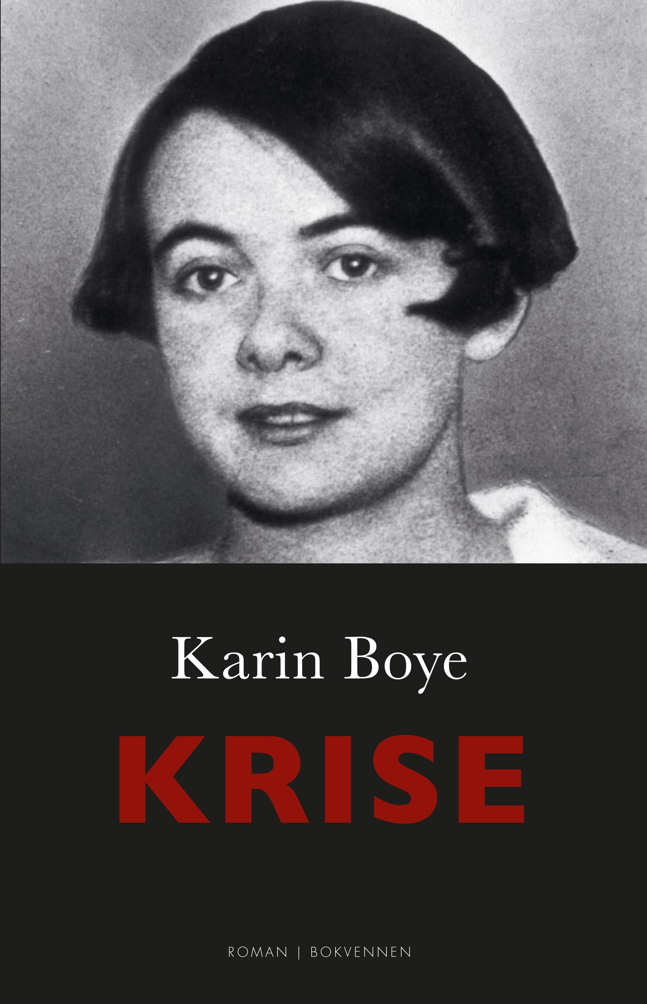 Krise - roman
