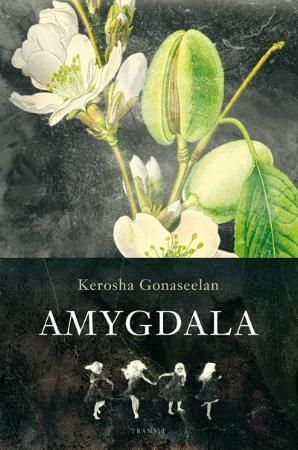 Amygdala - roman