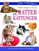 Alt du trenger å vite om katter og kattunger