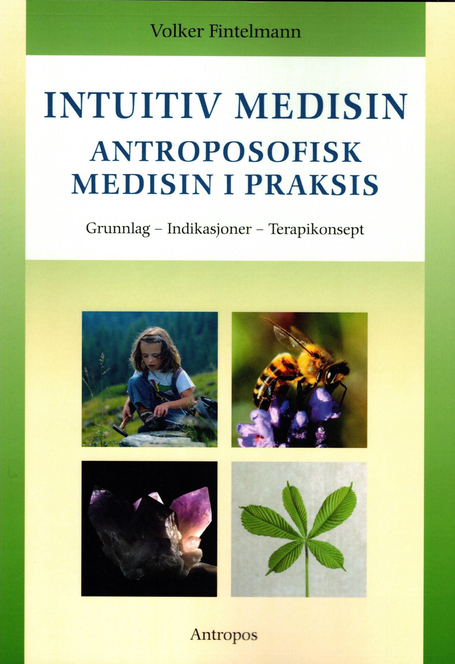 Intuitiv medisin - antroposofisk medisin i praksis : grunnlag, indikasjoner, terapikonsept