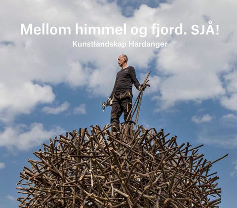 Mellom himmel og fjord. Sjå! - kunstlandskap Hardanger