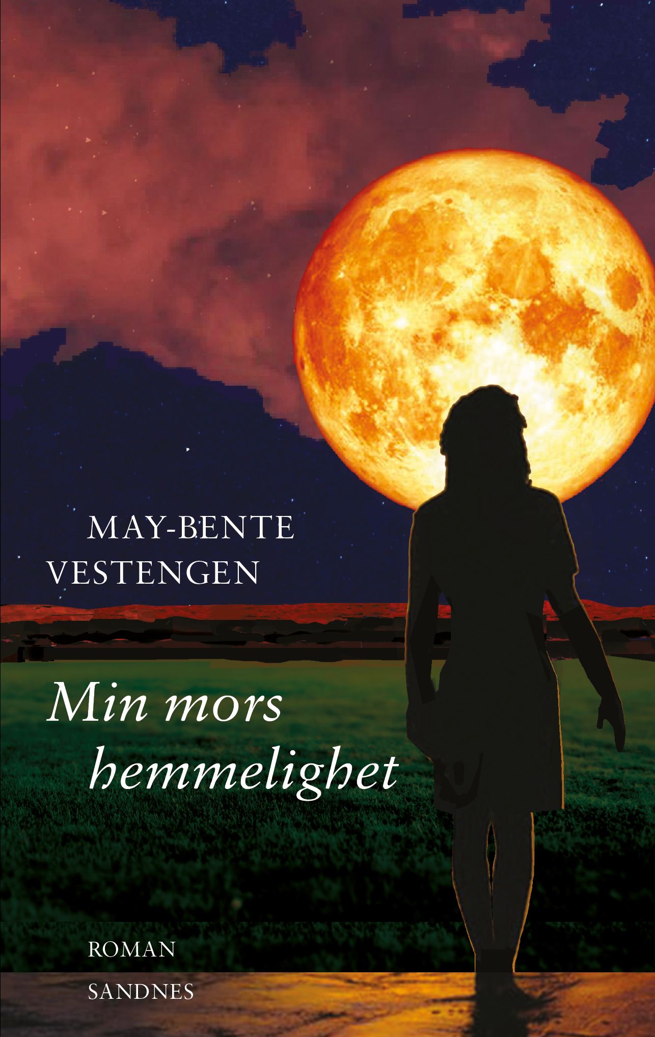 Min mors hemmelighet - roman