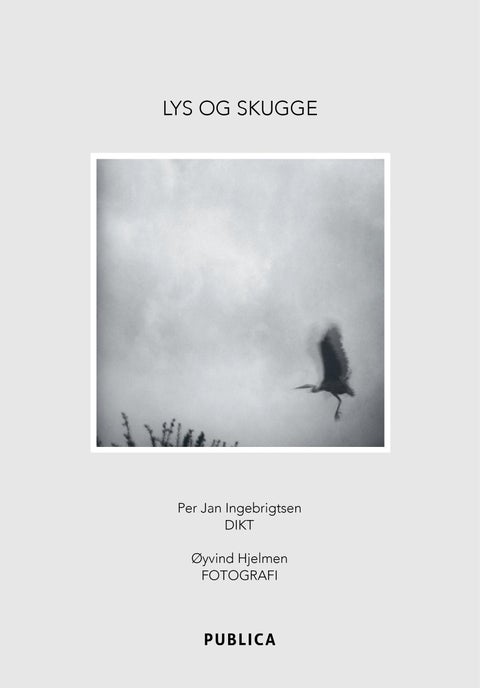 Lys og skugge
