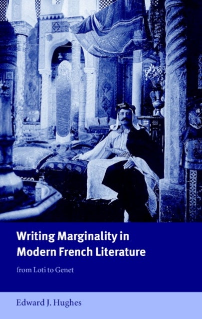 Writing Marginality in Modern French Literature