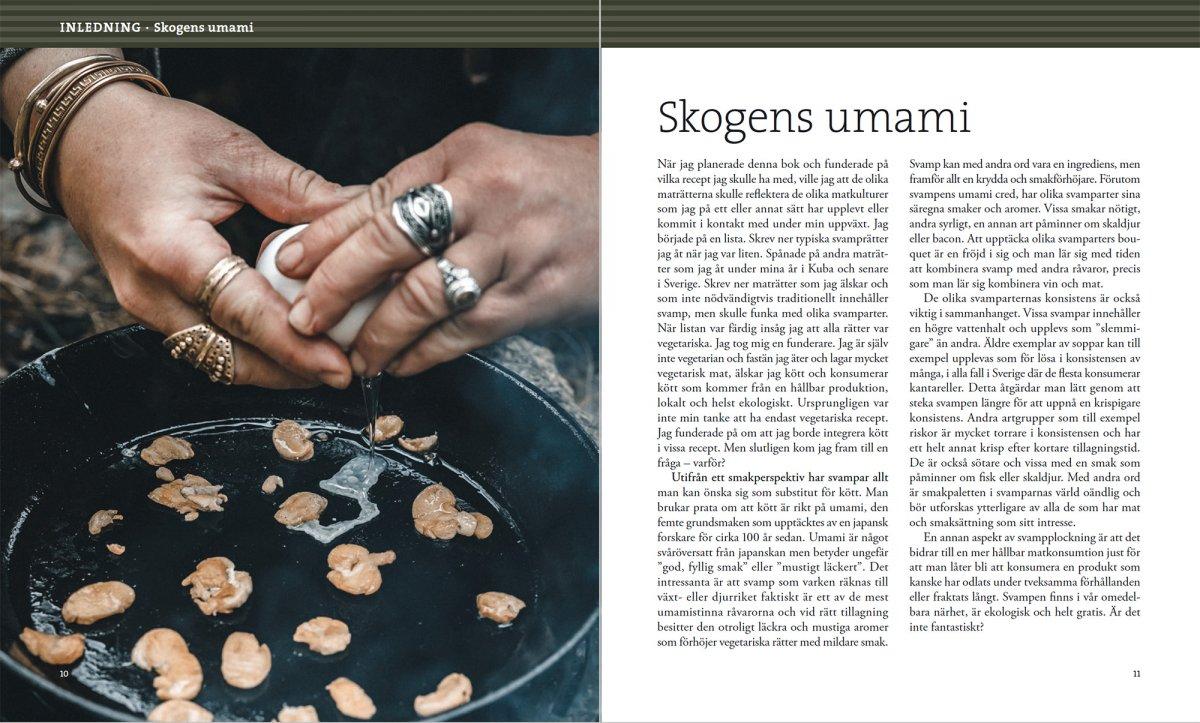 Svampbok för matälskare