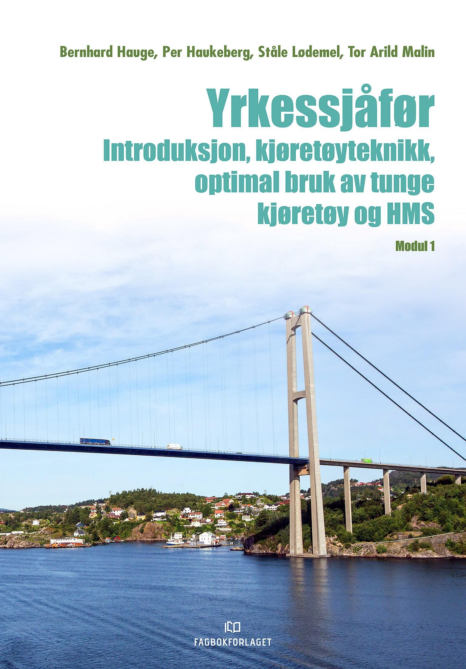 Yrkessjåfør - introduksjon, kjøretøyteknikk, optimal bruk av tunge kjøretøy og HMS : modul 1