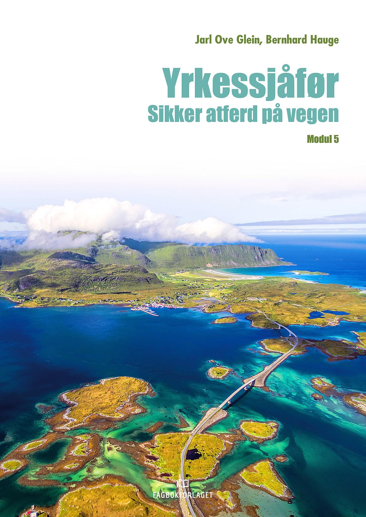 Yrkessjåfør - sikker atferd på vegen : modul 5