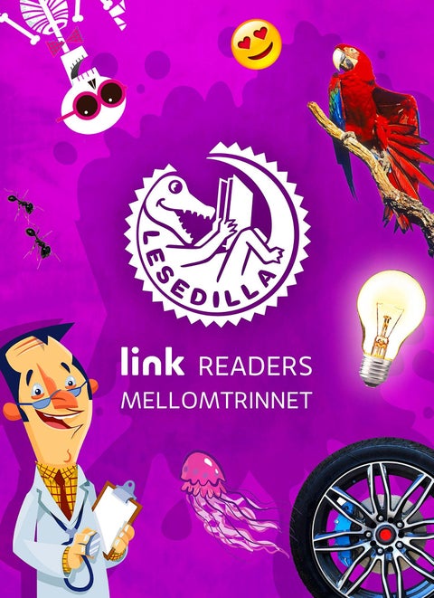 Link readers - Pakkeløsning : mellomtrinnet