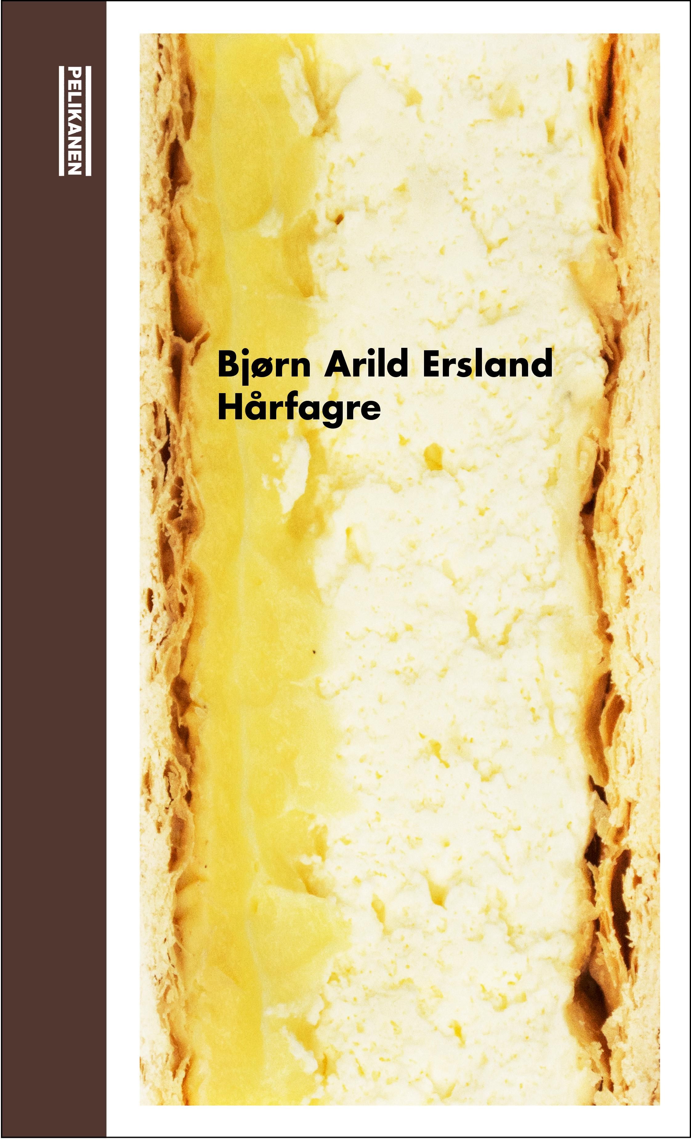 Hårfagre - roman