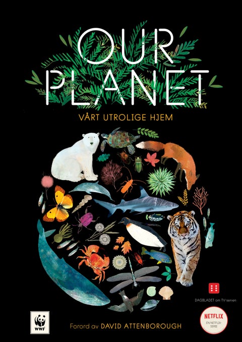 Our planet - vårt utrolige hjem