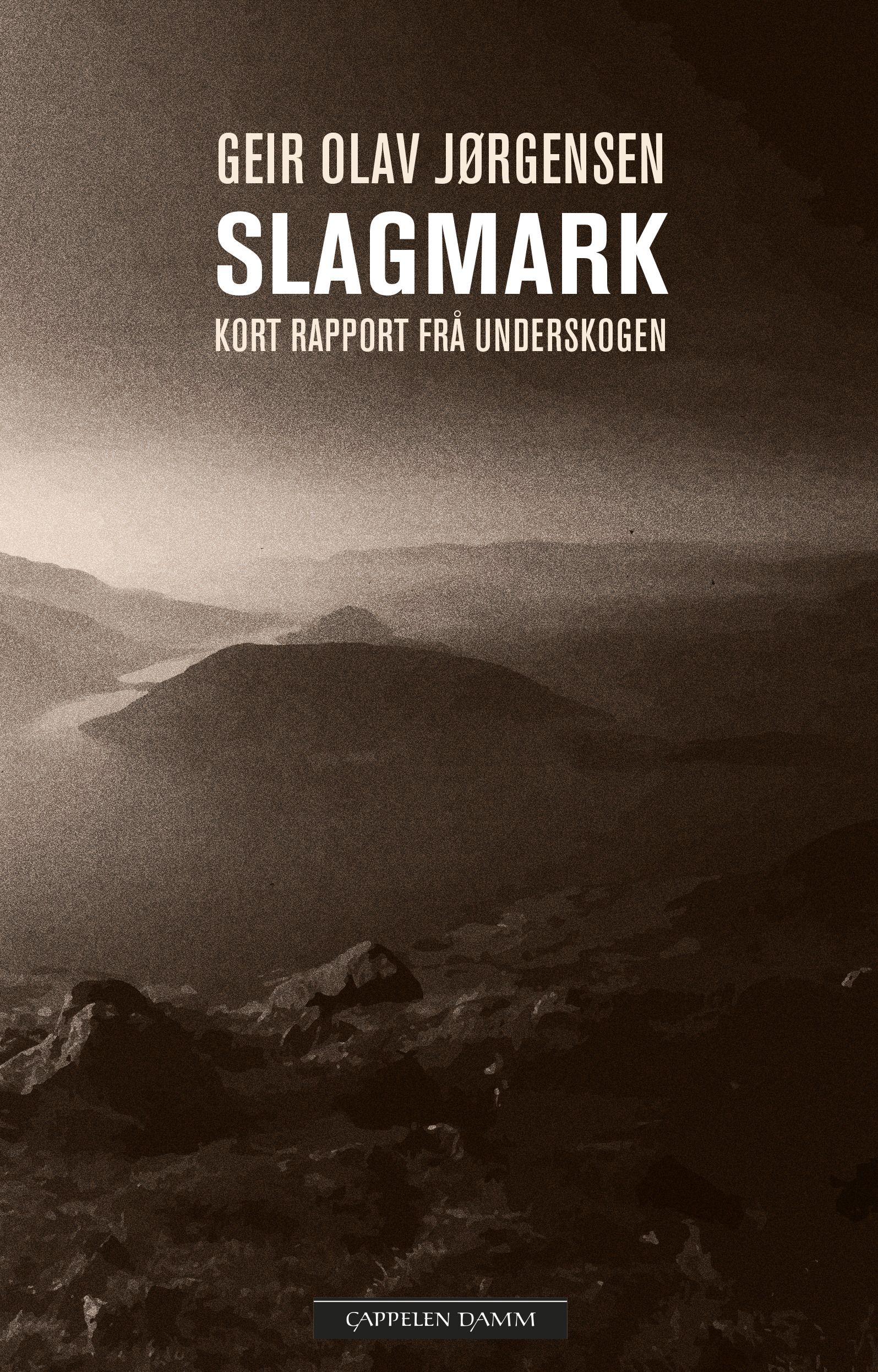 Slagmark - kort rapport frå underskogen