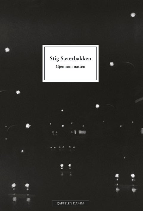 Gjennom natten - roman