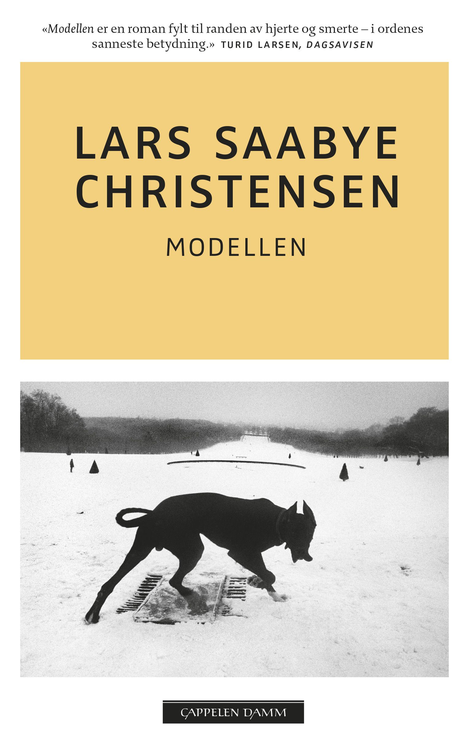 Modellen - roman