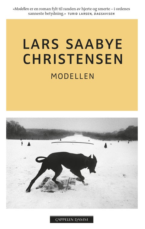 Modellen - roman