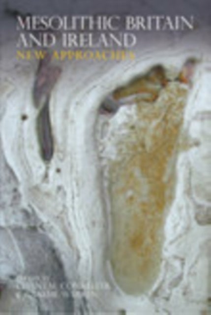 Mesolithic Britain and Ireland - New Approaches