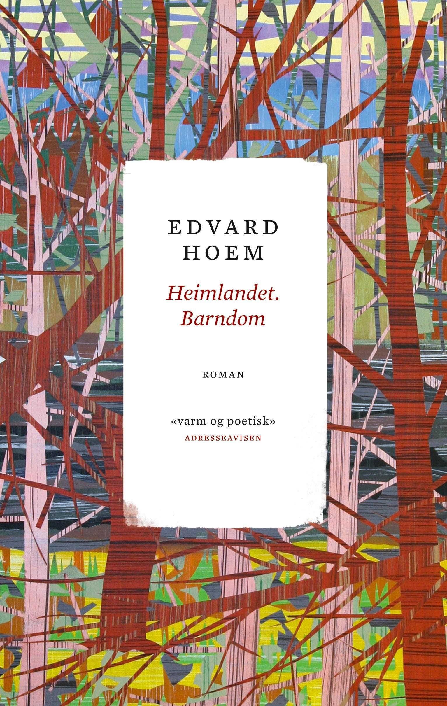 Heimlandet. Barndom - roman