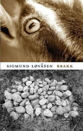 Brakk - roman