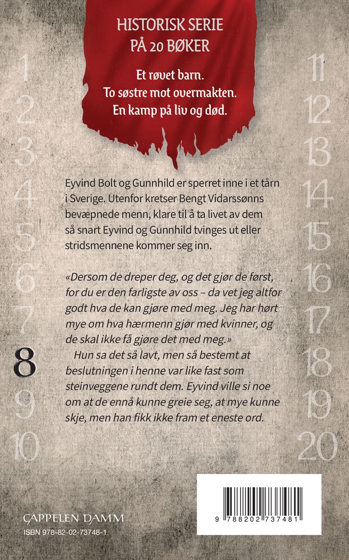 Omringet av fiender