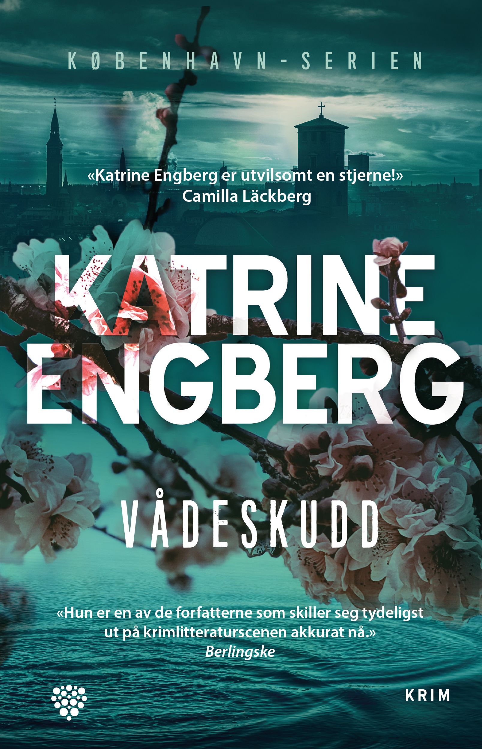 Vådeskudd - kriminalroman