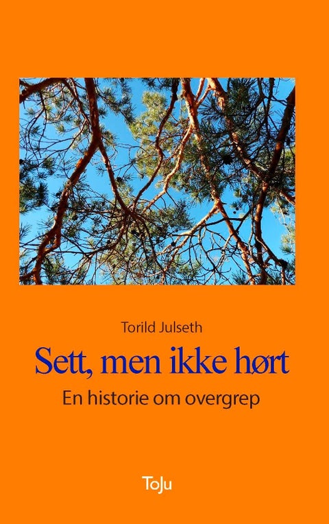 Sett, men ikke hørt - en historie om overgrep
