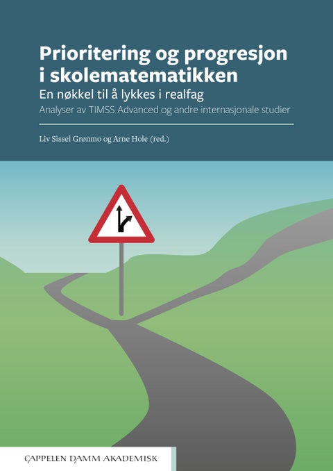 Prioritering og progresjon i skolematematikken - en nøkkel til å lykkes i realfag : analyser av TIMSS Advanced og andre internasjonale studier