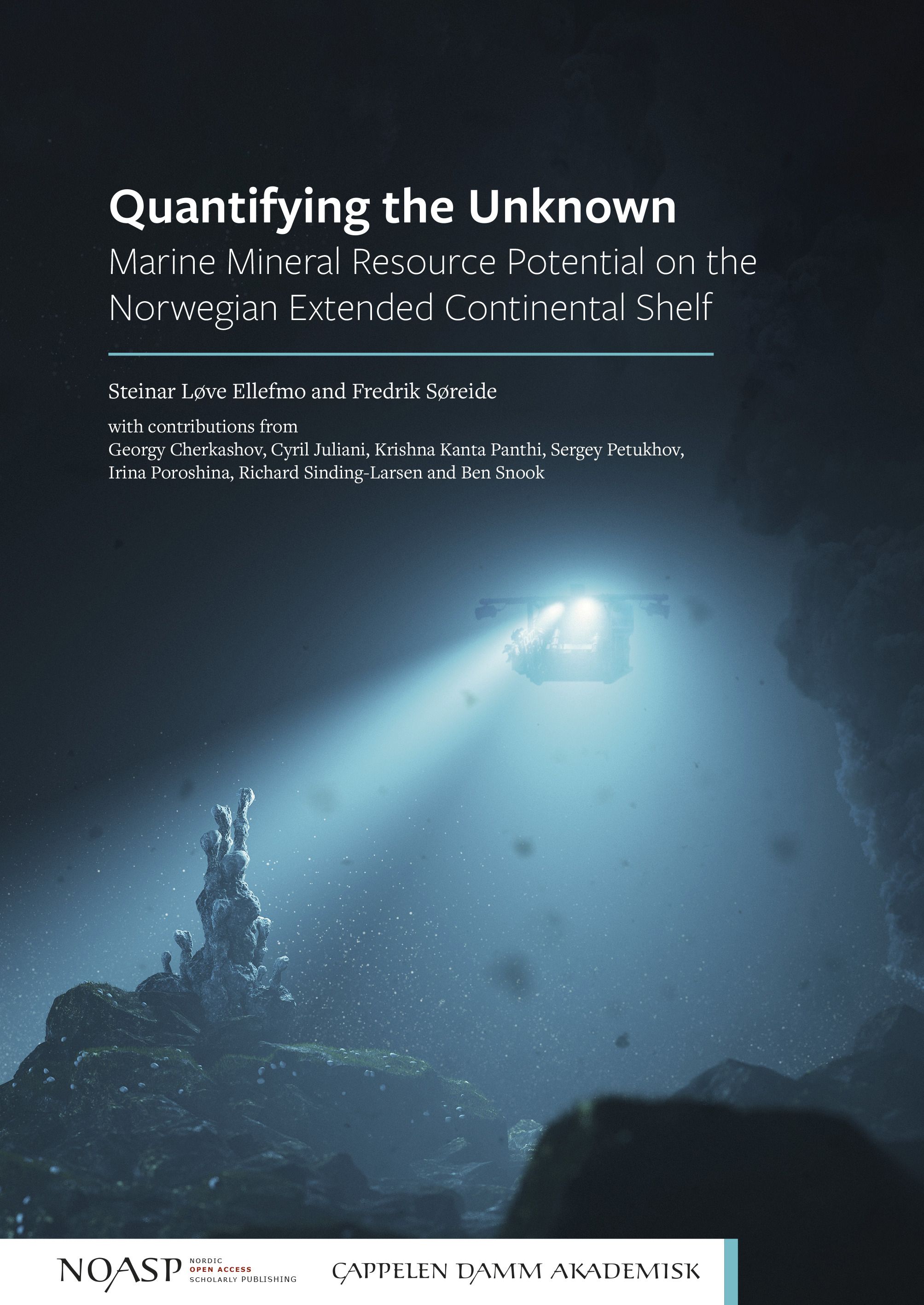 Quantifying the unknown - marine mineral resource potential on the Norwegian extended continental shelf