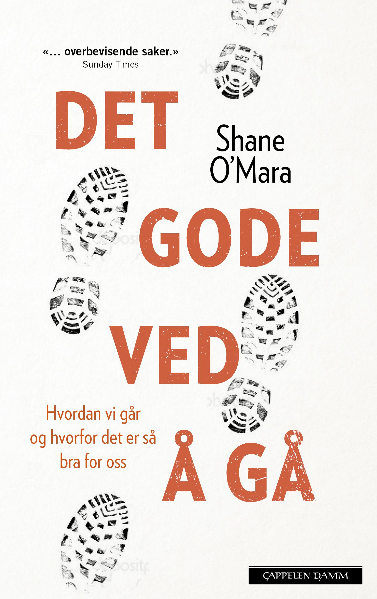 Det gode ved å gå - hvordan vi går og hvorfor det er så bra for oss