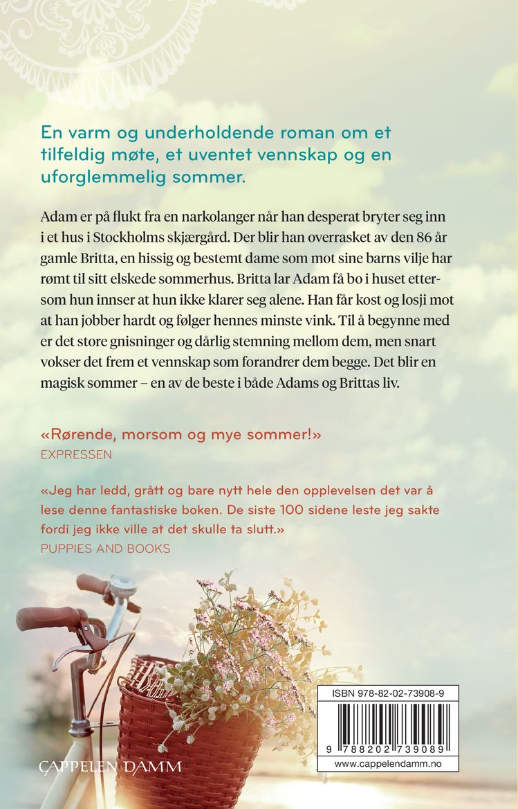 Den siste sommeren