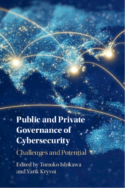 Public and Private Governance of Cybersecurity - Challenges and Potential