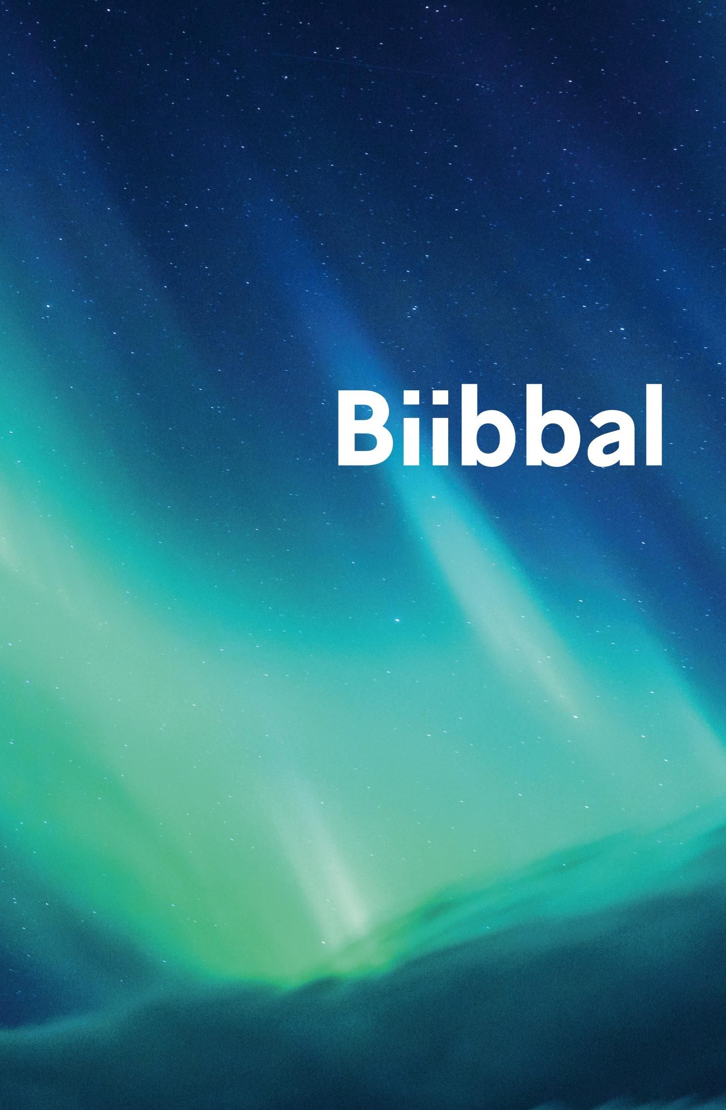 Biibbal - Bassi čala : Boares ja Ođđa testamenta
