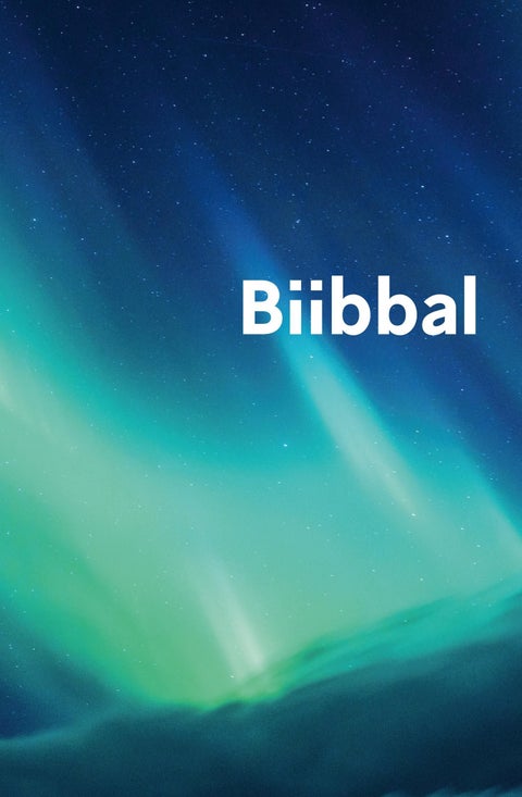 Biibbal - Bassi čala : Boares ja Ođđa testamenta