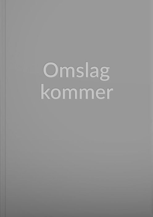 Nye perspektiv på verftshistorien