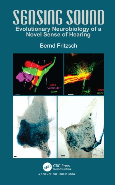 Sensing Sound - Evolutionary Neurobiology of a Novel Sense of Hearing