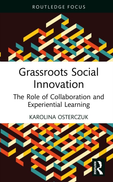 Grassroots Social Innovation - The Role of Collaboration and Experiential Learning