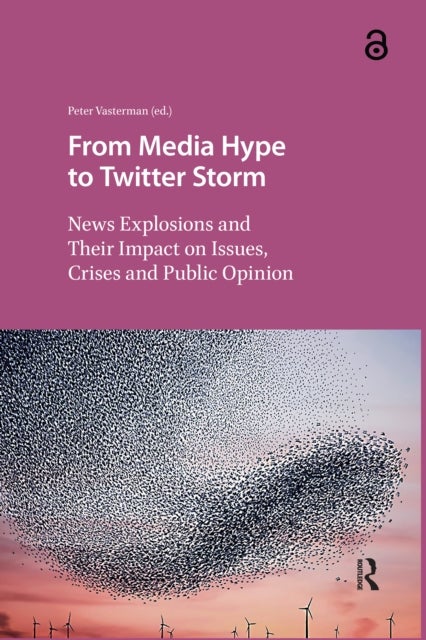 From Media Hype to Twitter Storm News Explosions and Their Impact on Issues, Crises and Public Opinion