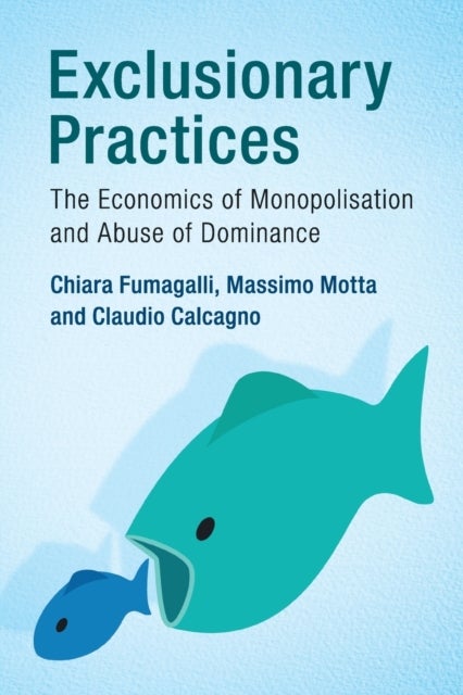 Exclusionary Practices - The Economics of Monopolisation and Abuse of Dominance