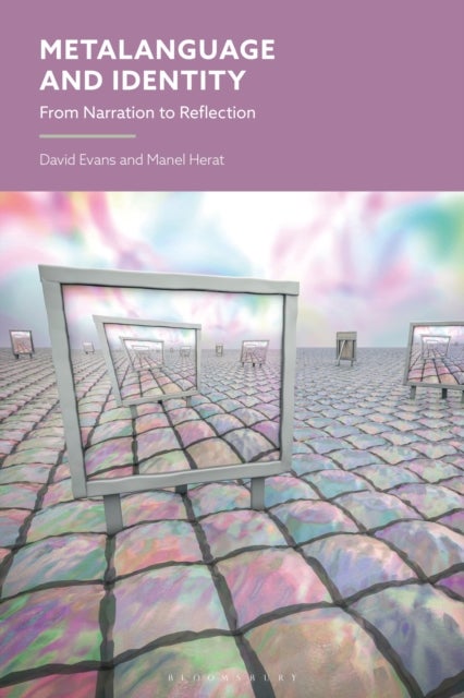 Metalanguage and Identity - From Narration to Reflection