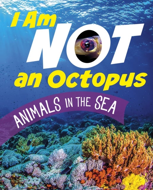 I Am Not an Octopus - Animals in the Ocean