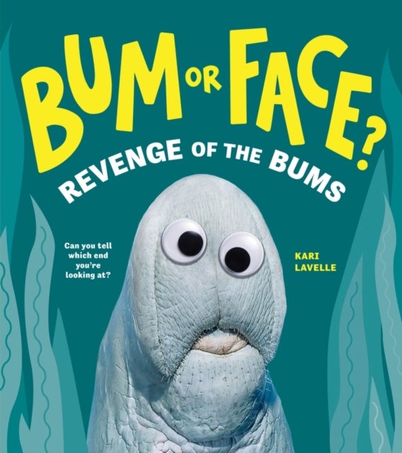 Bum or Face? Revenge of the Bums - Revenge of the Bums