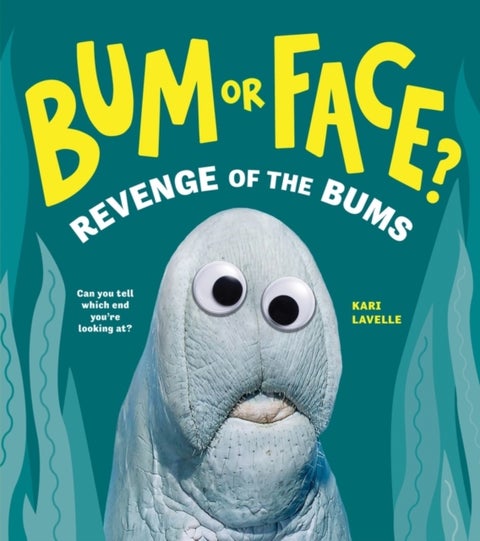 Bum or Face? Revenge of the Bums - Revenge of the Bums